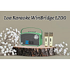 Loa karaoke di động WinBridge L200